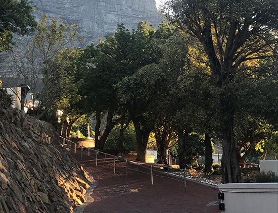 עיצוב גינות