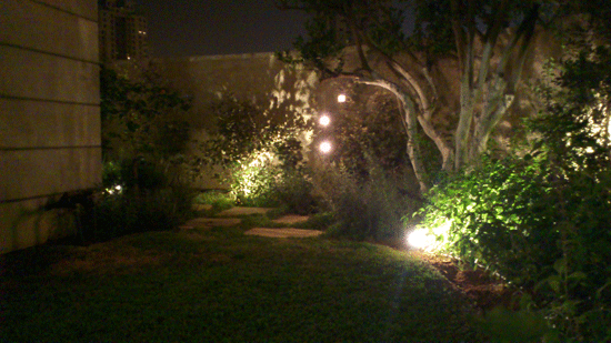 עיצוב גינות