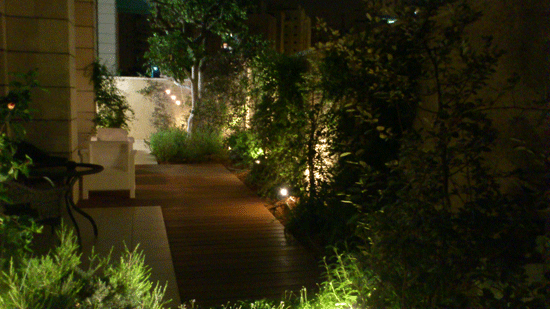 ����� �� ����� ����� ����� �����