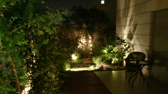 ����� �����