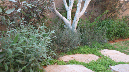 ����� ����� ��� �����