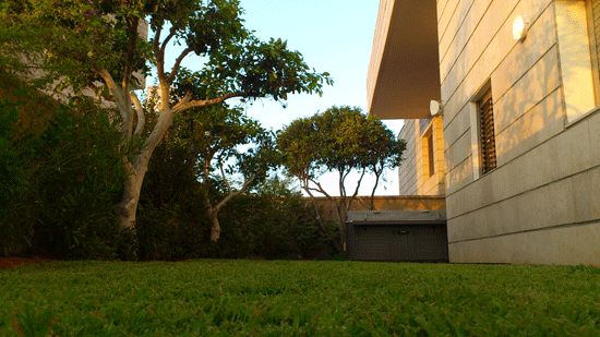 ����� ����� �� �����