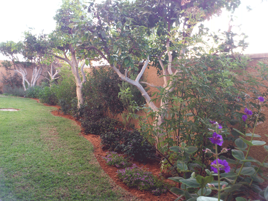 ����� ����� ����� ����� ����� �����