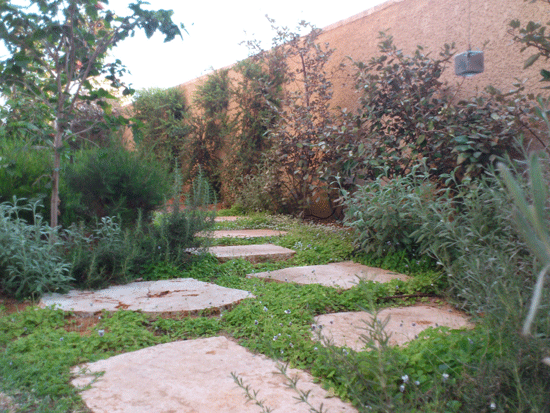 ����� ������ ������ ��� �����