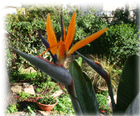 ����� ����� ����� ������ ����� ����� ������