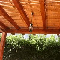 ������ ��� �������